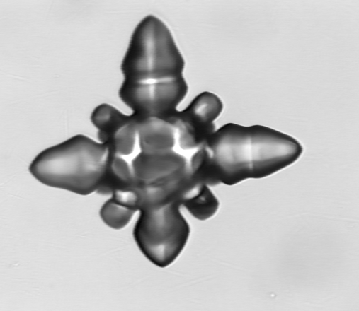 (early stage of crystal)